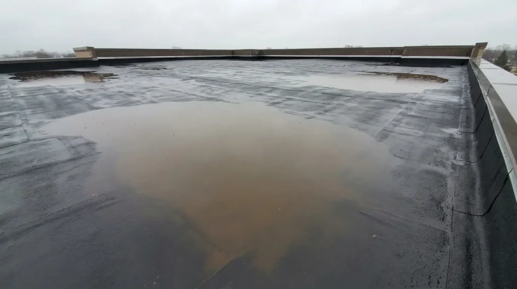 Ponding standing water